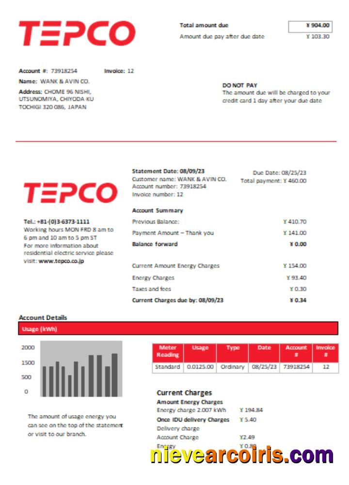 Tokyo Electric Power Company (TEPCO) electricity utility business bill